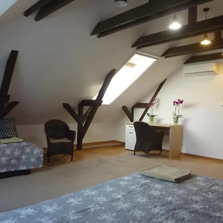 Velky V Rodinnom Dvojdome, Free Parking Apartmán Košice