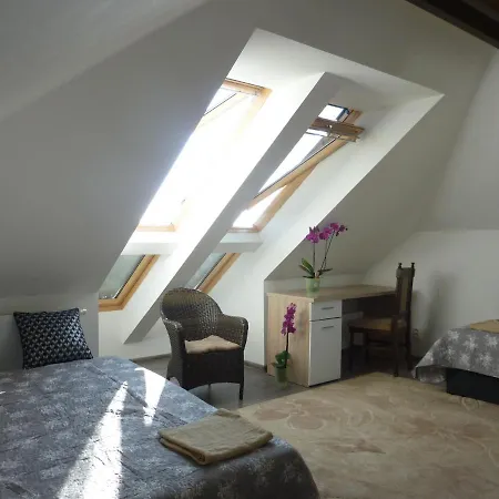 Velky V Rodinnom Dvojdome, Free Parking コシツェ